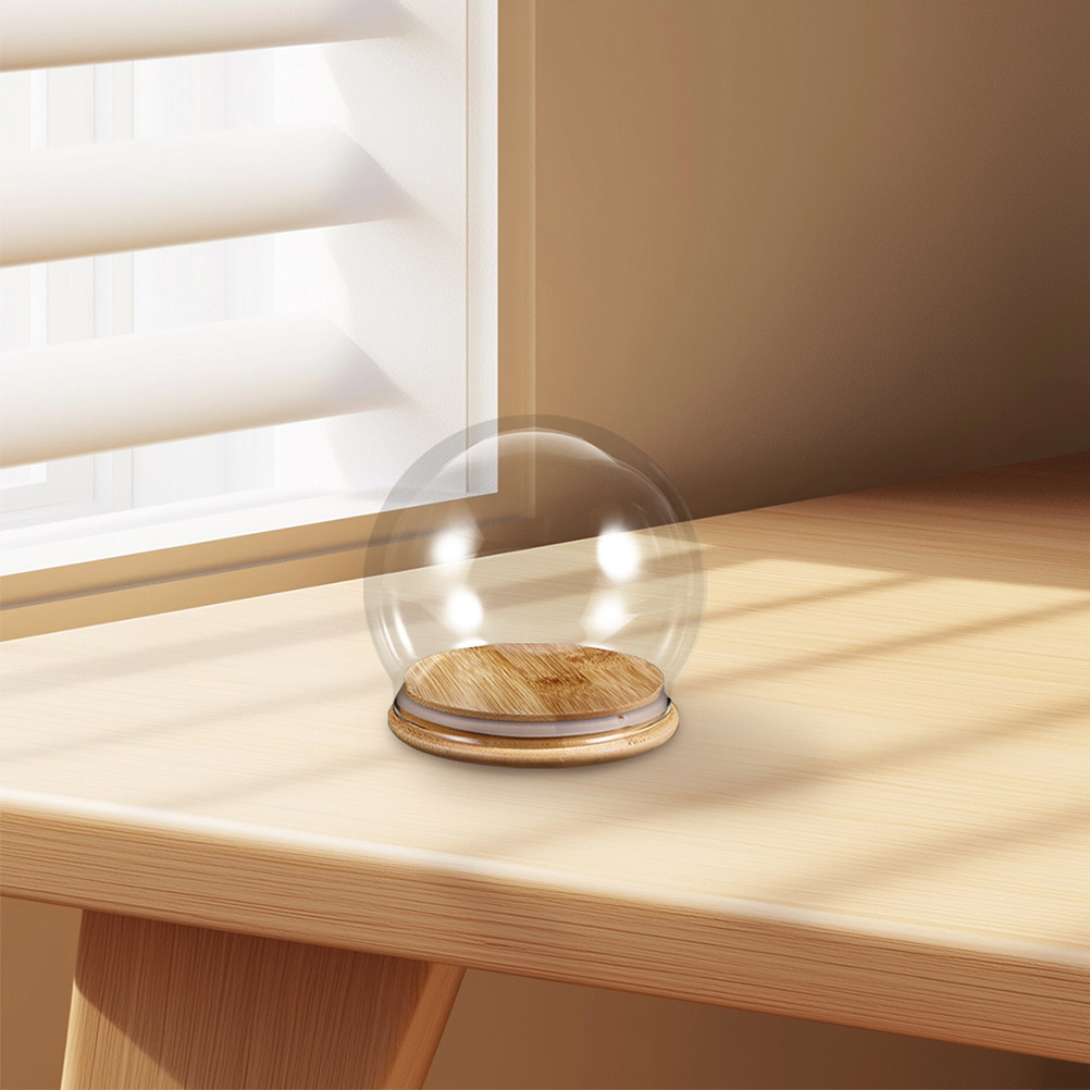 Plastic Dome Clear - 2 Stück Klare Glas-Kuppel-Vitrine mit Holzsockel