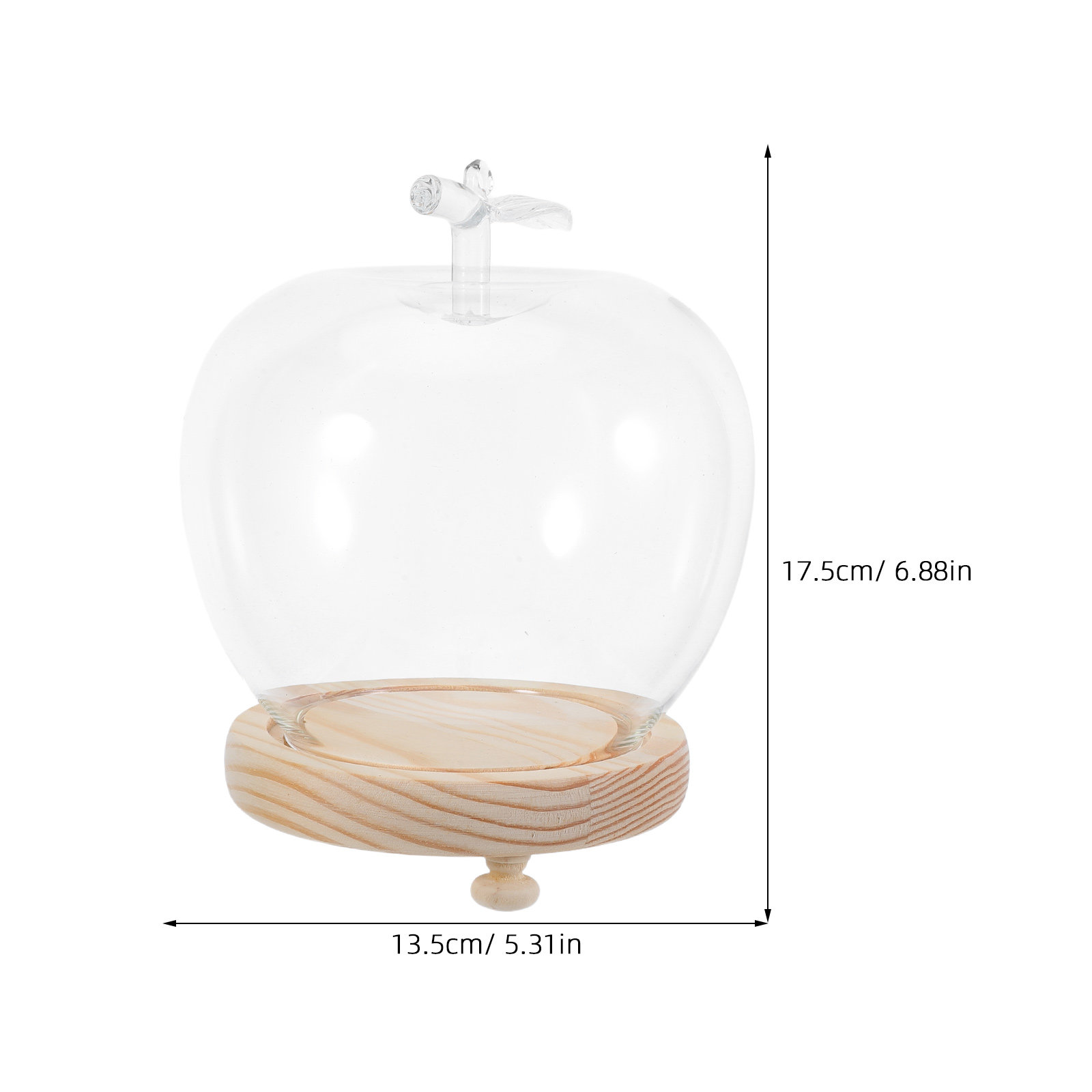 1 Set Glaskuppel in Glockenfor – Plastic Dome Clear Bewertung und Preis