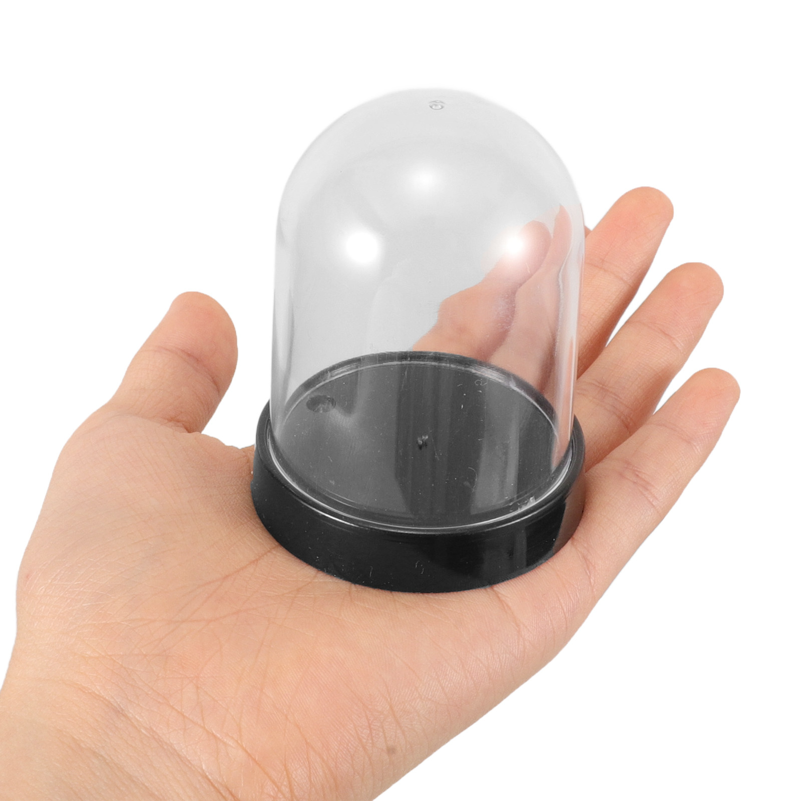 5-teiliges Kristallklares Plas – Plastic Dome Clear Bewertung und Preis
