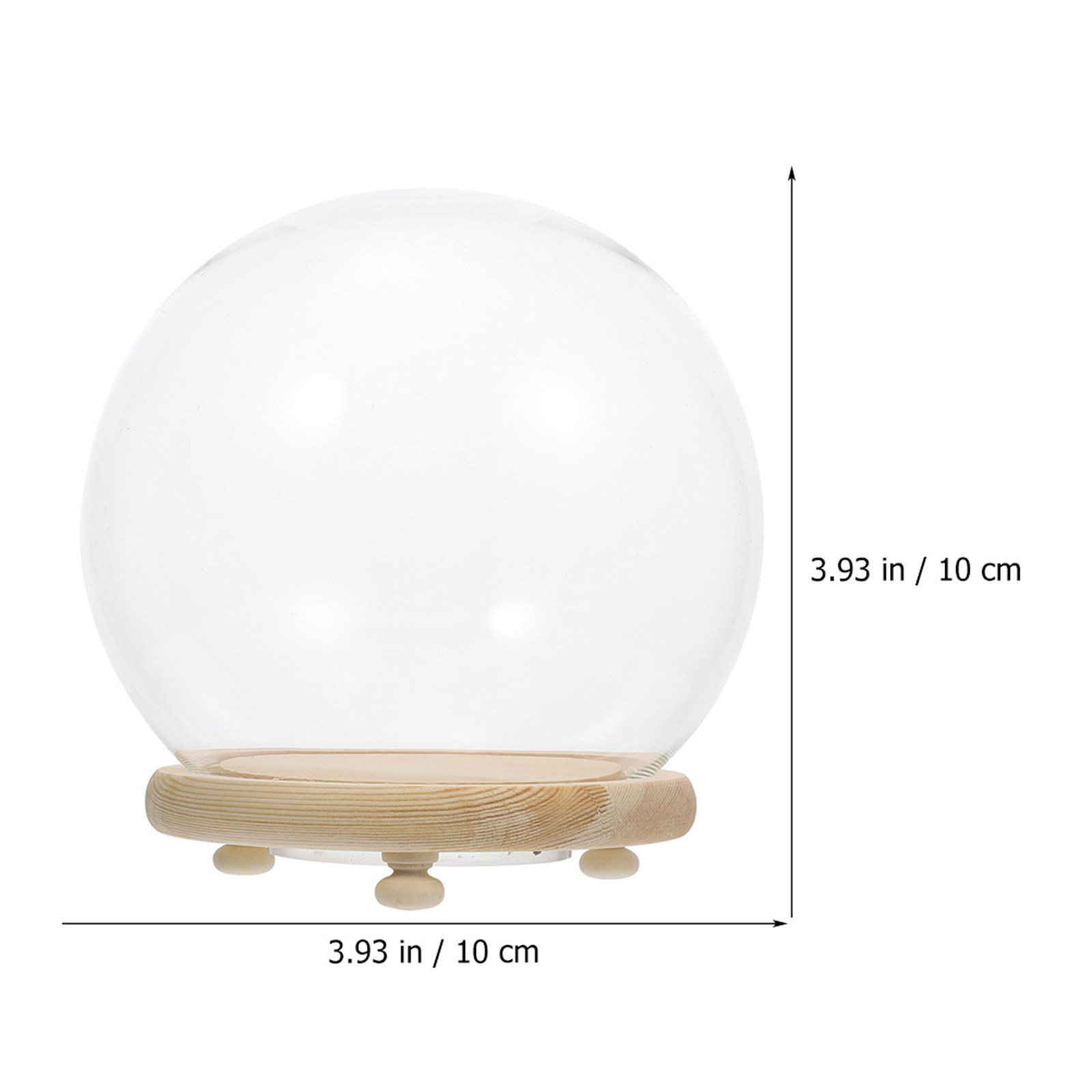 Klare Glaskuppel mit Holzsocke – Plastic Dome Clear Bewertung und Preis